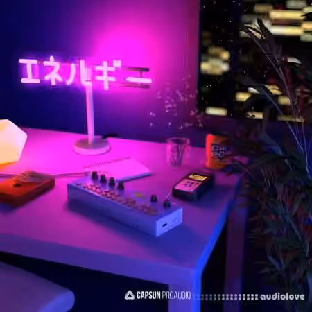 Capsun ProAudio Bedroom Beats And Lofi Hip Hop Vol.2 [WAV]