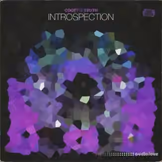 Coop The Truth INTROSPECTION (One Shots) [WAV]
