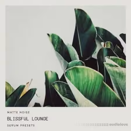 GOGOi Blissful Lounge [Synth Presets]
