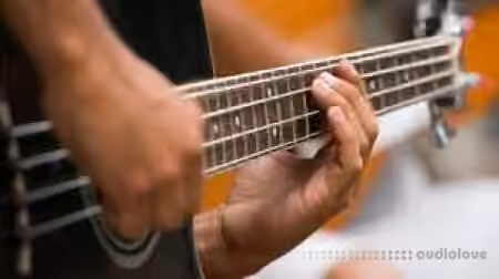 Lynda John Patitucci Electric Bass Complete [TUTORiAL]