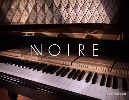 Native Instruments Noire v1.2.1 [KONTAKT]