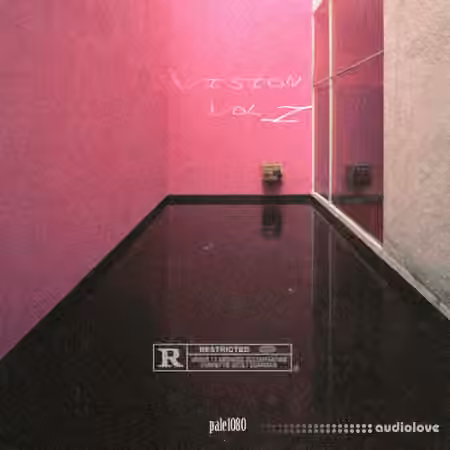 PALE1080 Vision [WAV, MiDi, Synth Presets]