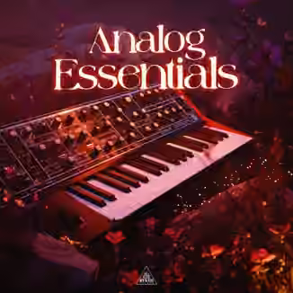 SYNTH PALACE ANALOG ESSENTIALS [WAV]