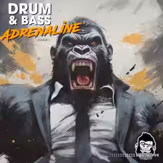 Vanilla Groove Studios Drum And Bass Adrenaline Vol 1 [WAV]
