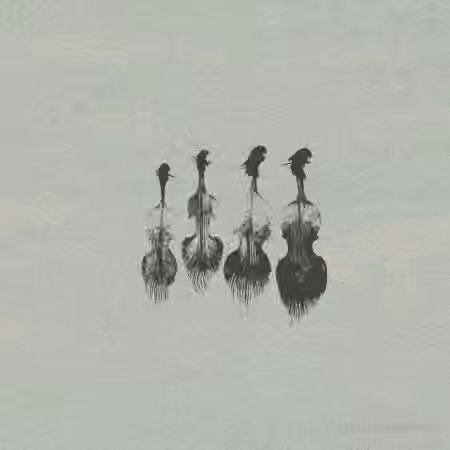 Wrongtools Feathersome Strings [KONTAKT]